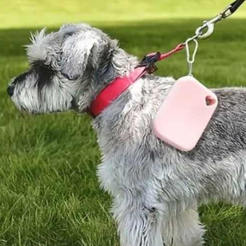 Portable Pet Treats Bag