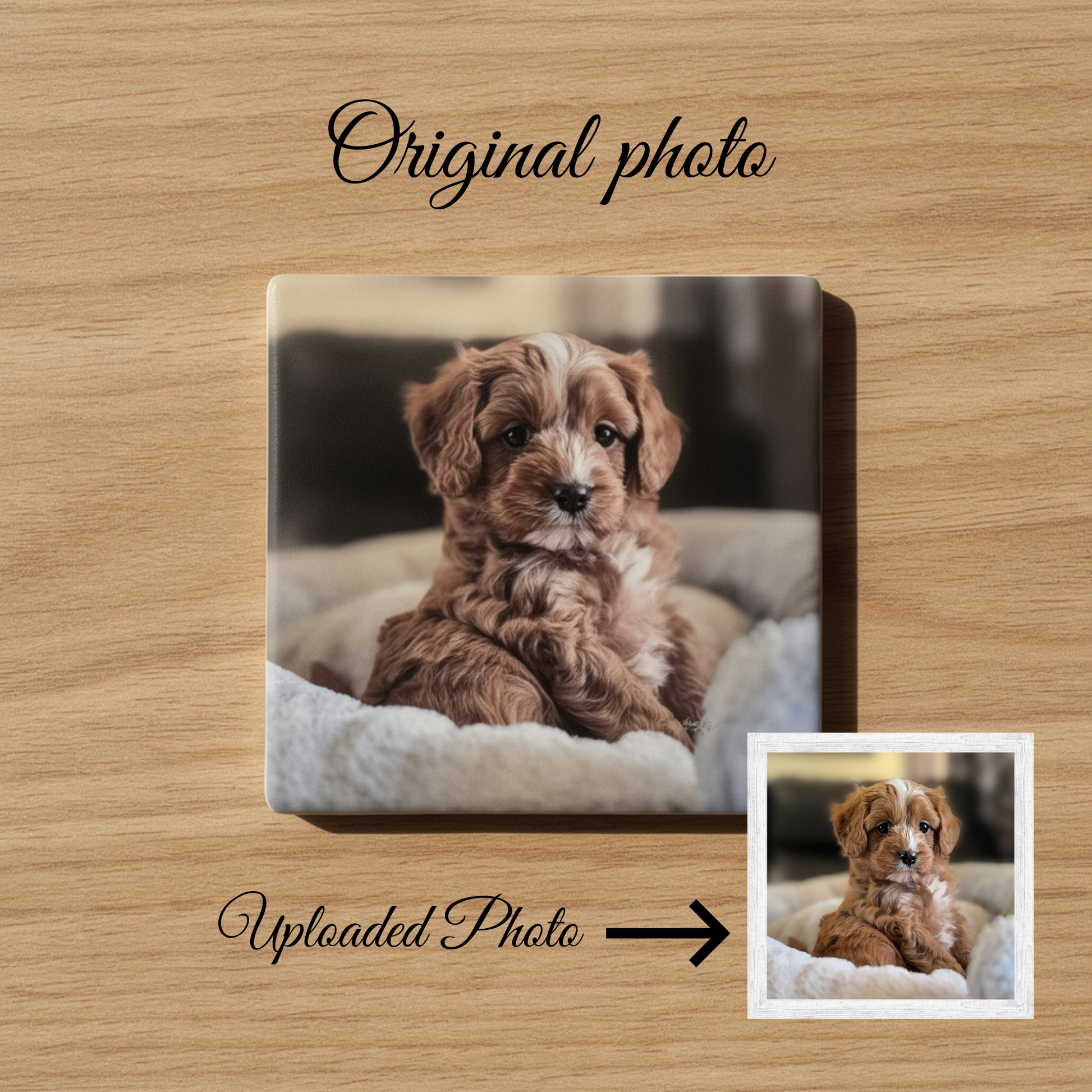 Pet Magnet. Custom Fridge Magnet. Photo Magnet. Magnet Photo. Picture Magnet Ceramic Magnet Custom Pet Fridge Magnet Custom Pet Photo Magnet