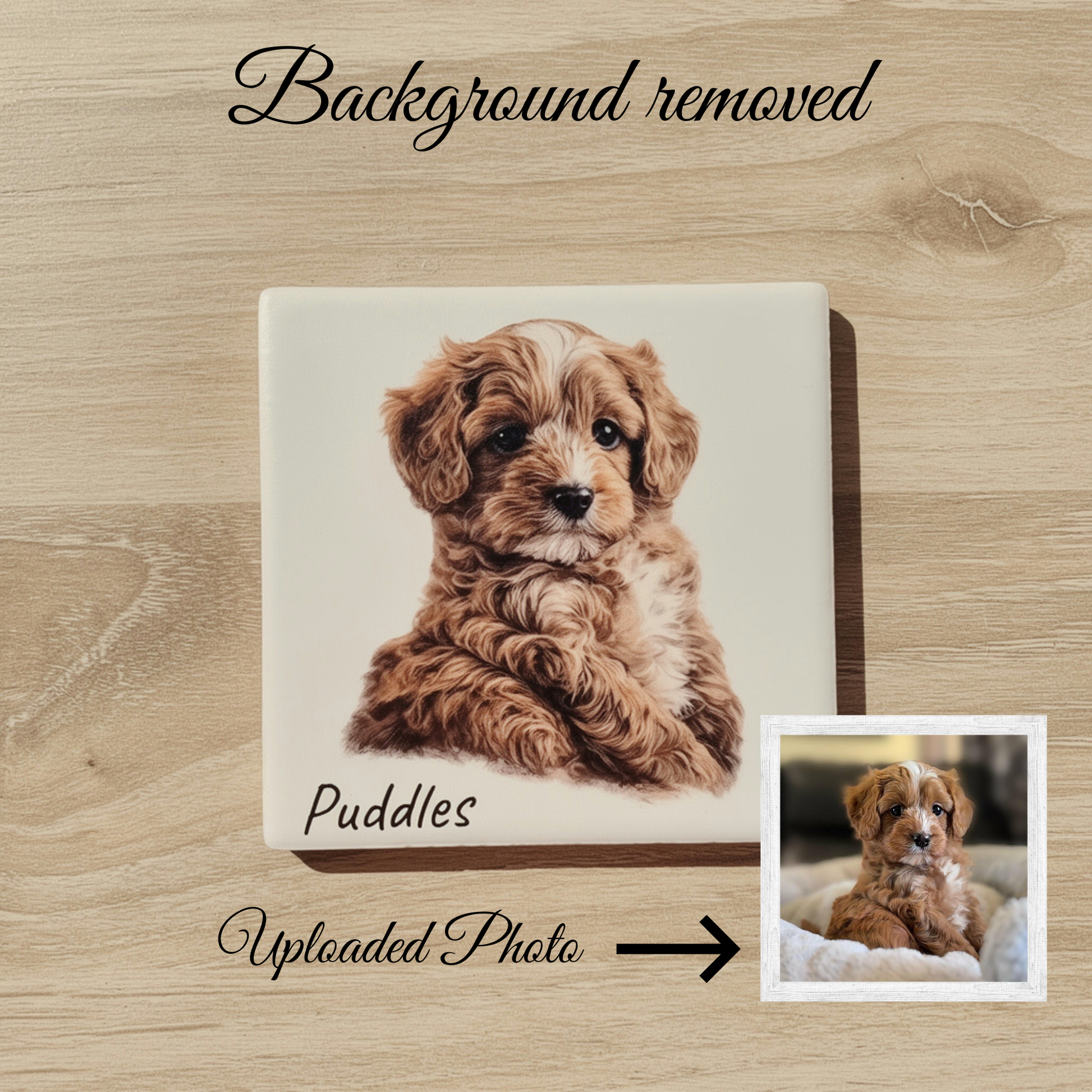 Pet Magnet. Custom Fridge Magnet. Photo Magnet. Magnet Photo. Picture Magnet Ceramic Magnet Custom Pet Fridge Magnet Custom Pet Photo Magnet