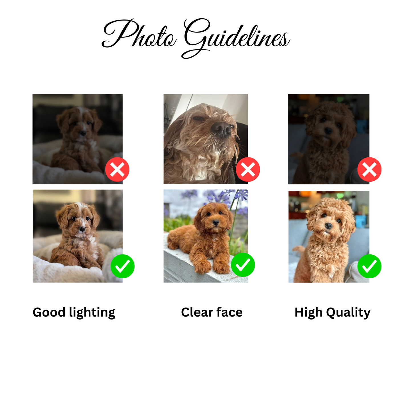 Photo guidelines for the Comic Style Pet Magnet Custom Pet Photo Ceramic Magnet Pet Portrait Fridge Magnet Pet Photo Magnet Custom Pet Portrait Ceramic Fridge Magnet