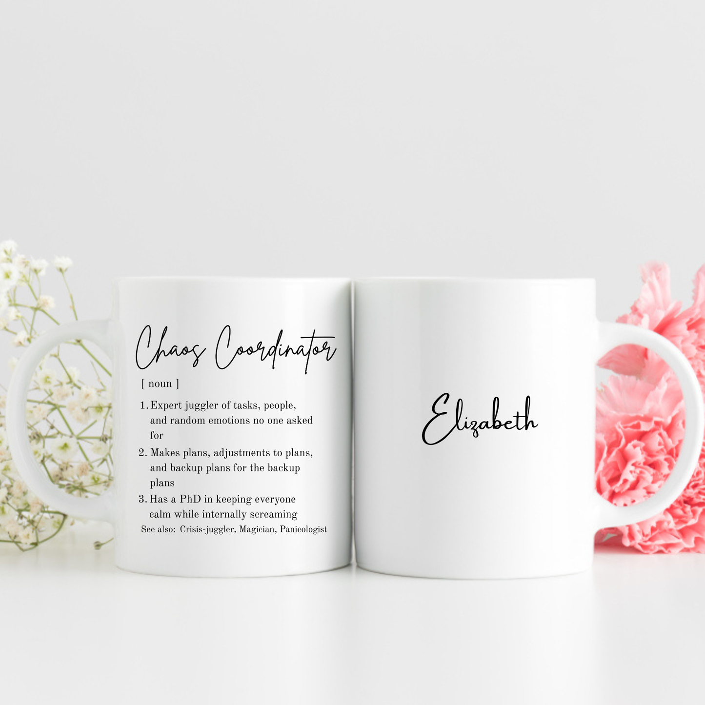 Chaos Coordinator Mug